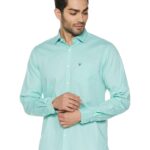Allen Solly Men's Slim Fit Shirt (ASSFQSPPR30955_Green