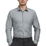 Louis Philippe Men's Striped Slim Fit Shirt (LPSFMSLPR30093_Grey